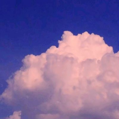 168极速赛车全天计划单期