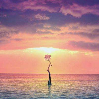 365平台官方版下载app下载